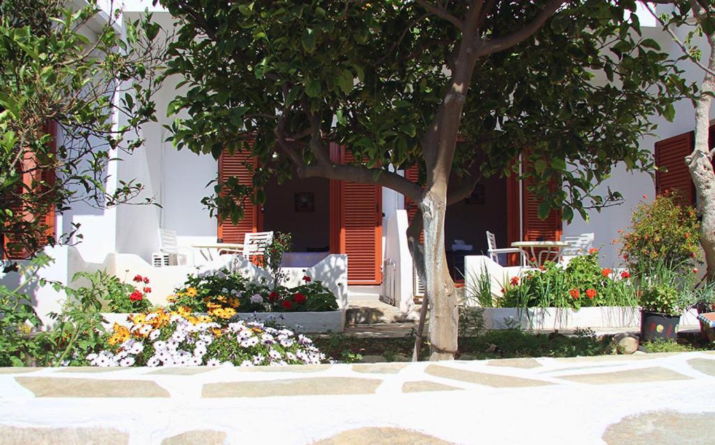 Helios Serifos Livadi  Exterior photo